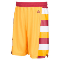 Cavaliers Gold Hardwood Classics Swingman Shorts