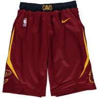 Youth Cavaliers Wine Icon Edition Swingman Basketball Shorts