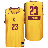 Youth LeBron James Cleveland Cavaliers #23 2014 Christmas Day Gold Jersey