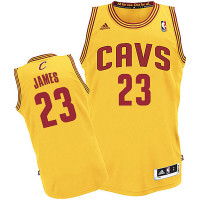 Youth Cleveland Cavaliers #23 LeBron James Hardwood Classics Jersey